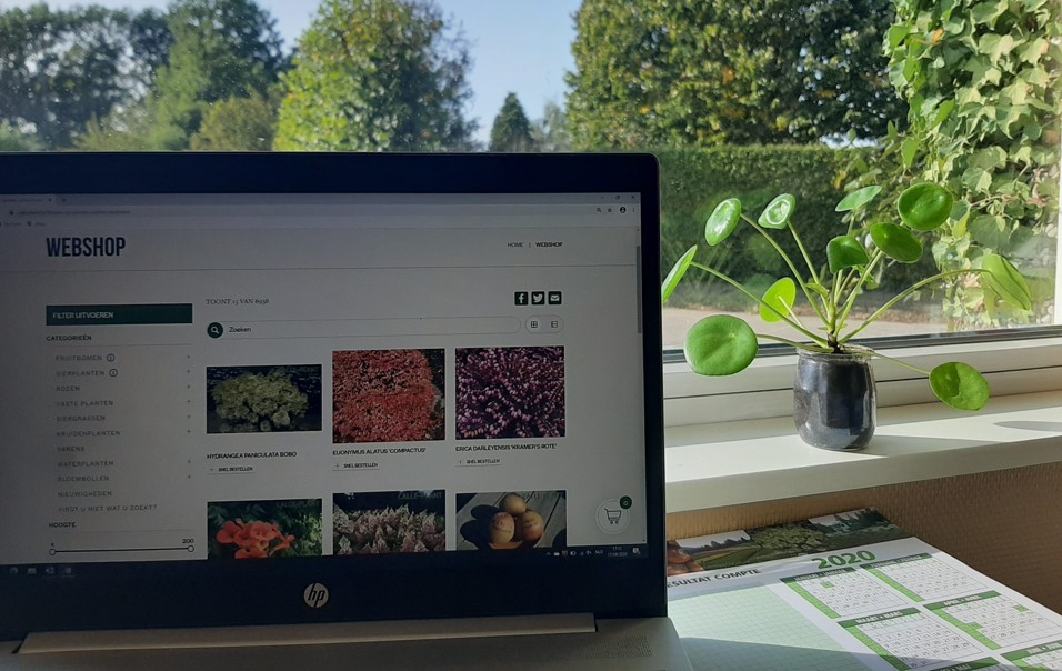 Koop je planten online op de webshop van Calle-Plant