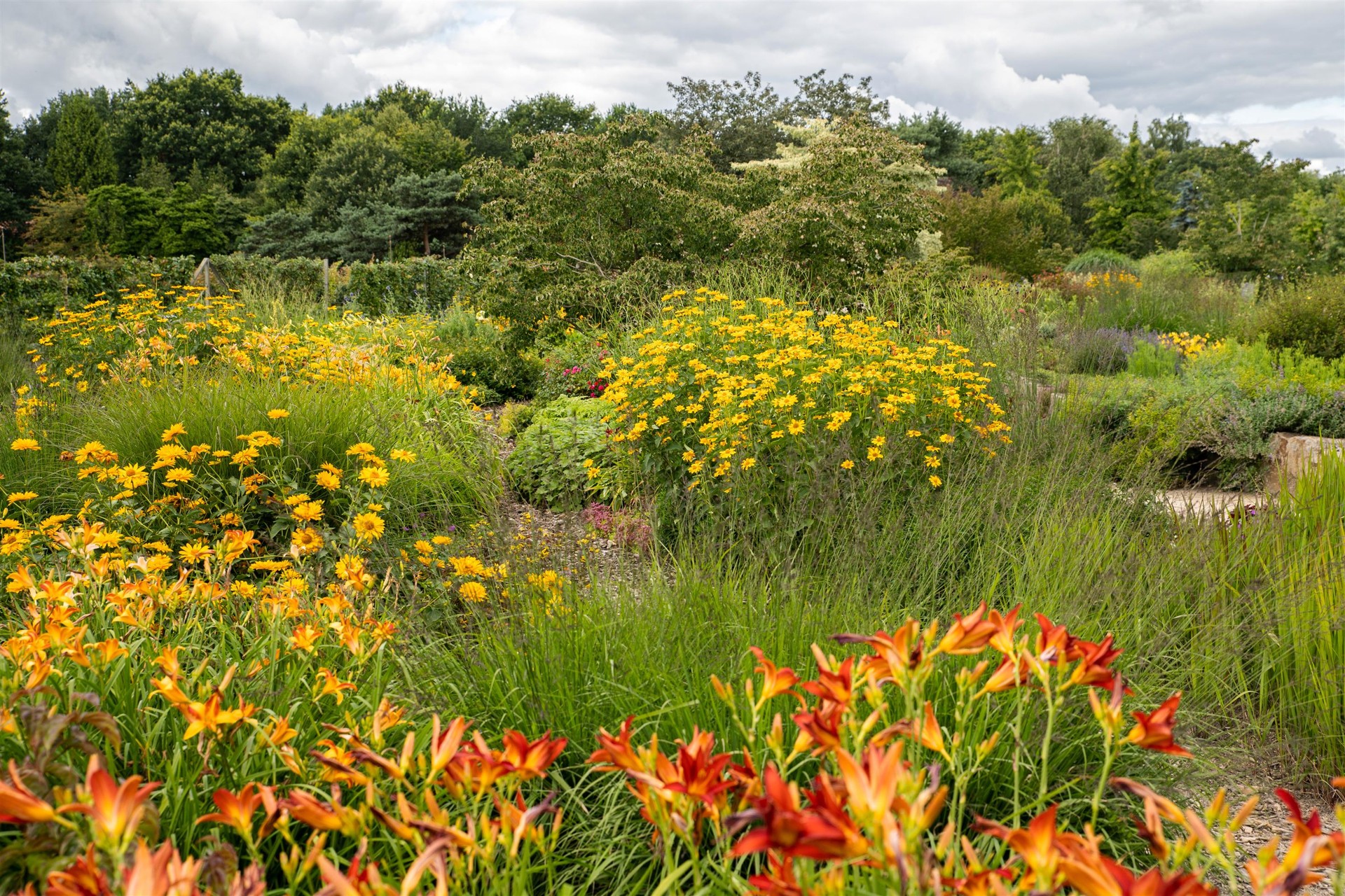 Vaste planten (5)